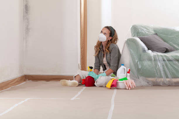 Reliable Black Mold Removal contractor in Alexandria, PA by WQB Mold Removal